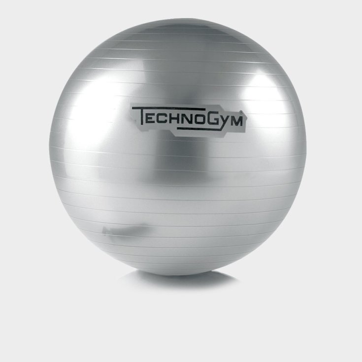 Wellness Ball Silver