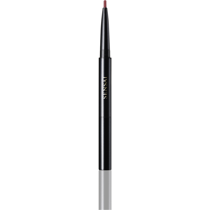 Kanebo Lipliner Pencil Lp104
