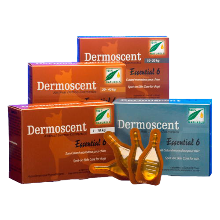 Essential 6 Spot-On Dog - 4X1,20ML