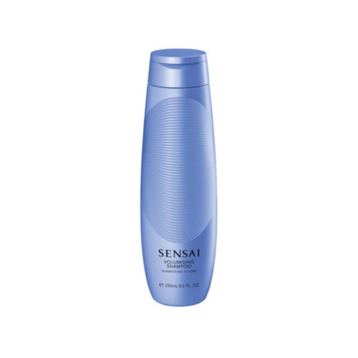 Kanebo Hair Care Volumizing Shampoo 250ml