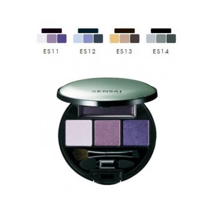 Kanebo Eye Shadow Palette Es13
