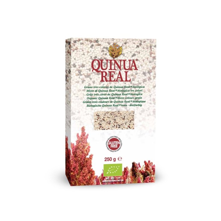 Quinua Real Mix Quinoa Tre Colori Bio 250g