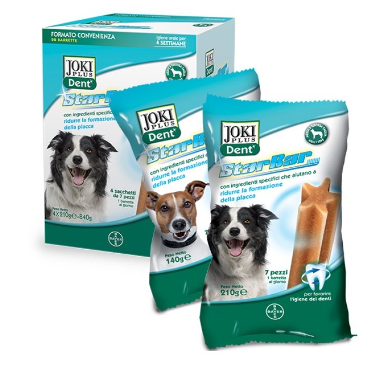 Joki Plus Dent Star Bar Cane - 210 Gr Taglia Media