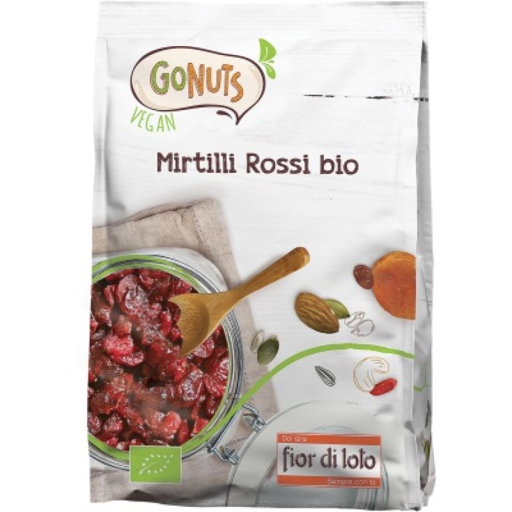 Fior di Loto Mirtilli Rossi Bio Frutta Secca 100g