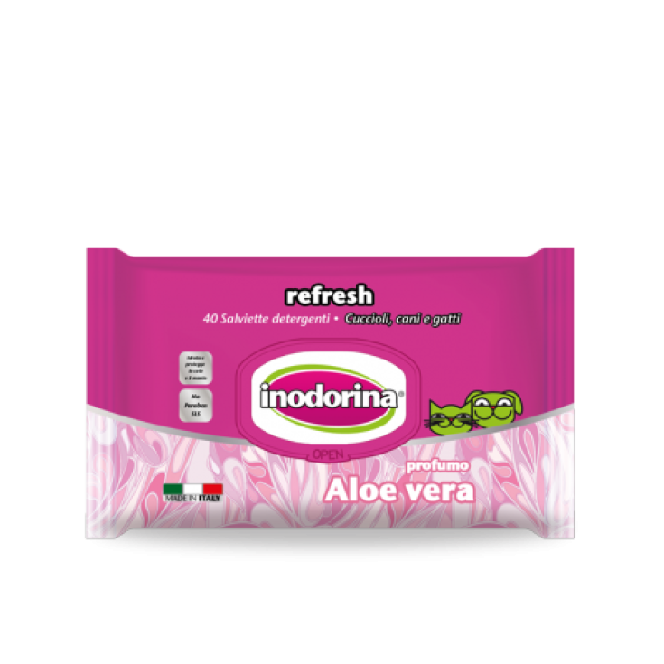 Salviette Refresh Aloe Vera - Salviette