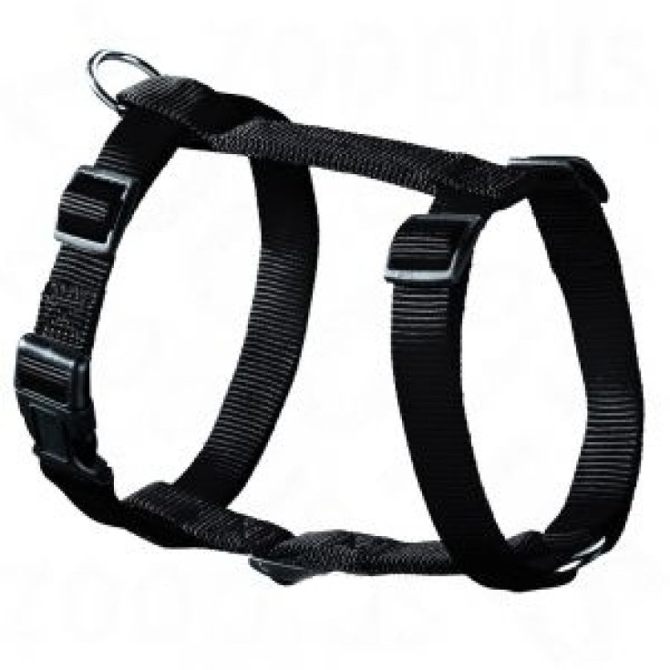 Hunter Harness Ecco Sport Rapid Collare Taglia L Colore Black
