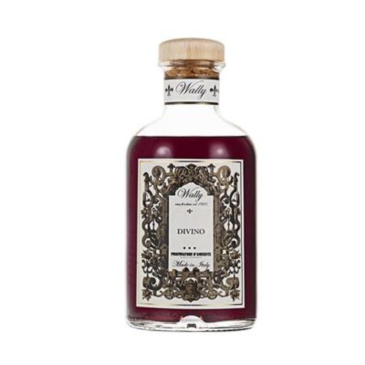 Wally 1925 Profumo D'Ambiente Divino Stick 500ml