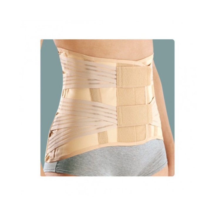 Ro+ten Sat (Donna) Busto Semirigido Basso Con Tiranti Elastici Pr1-1323 Taglia L