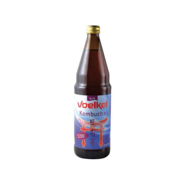 Baule Volante Voelkel Kombucha 750ml
