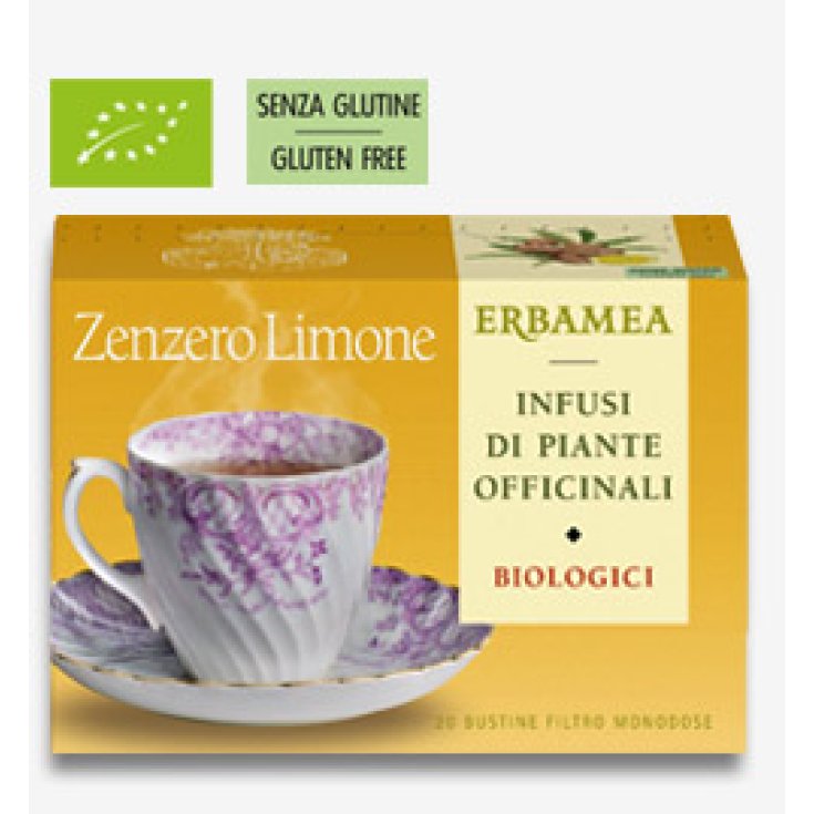 Erbamea Zenzero E Limone Biologico 20 Bustinec