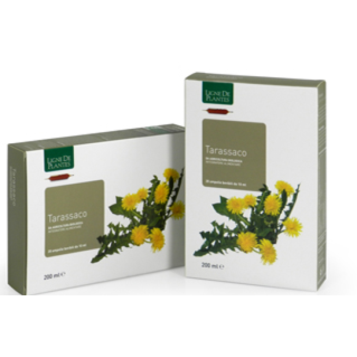 Natura Service Ligne De Plantes Tarassaco Integratore Alimentare 20 Ampolle Da 15ml