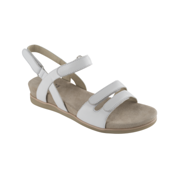 Scholl Canova Cuoio Colore Bianco Misura 39