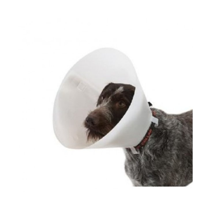 Collare Proficol Trasparente 7,5cm Xxs
