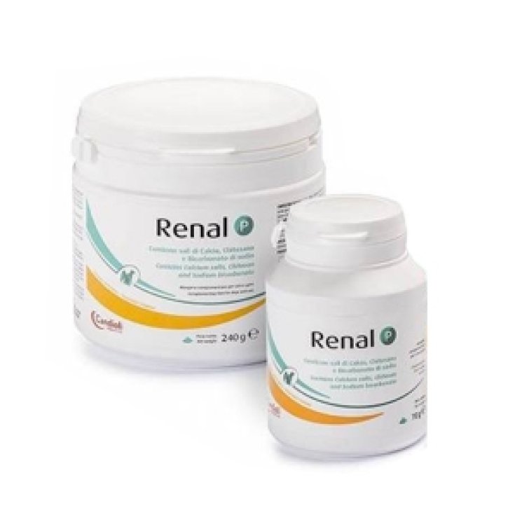 Renal P - 240GR