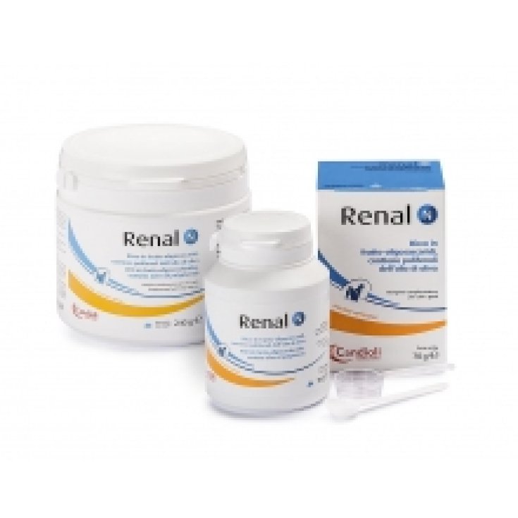 Renal N - 240GR