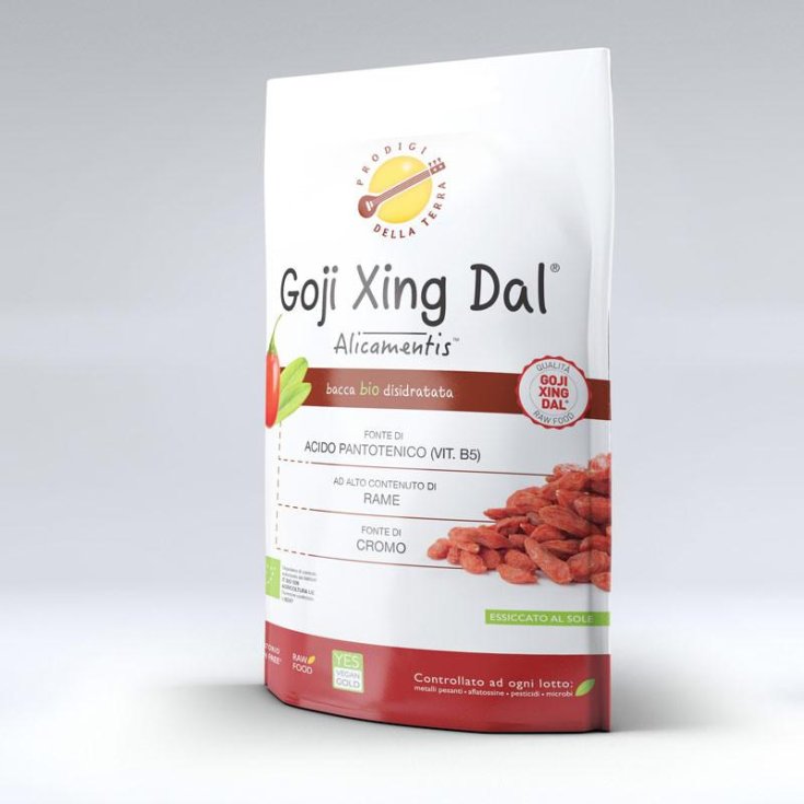 Sitar Italia Goji Xing Dal Alicamentis Bio 25g