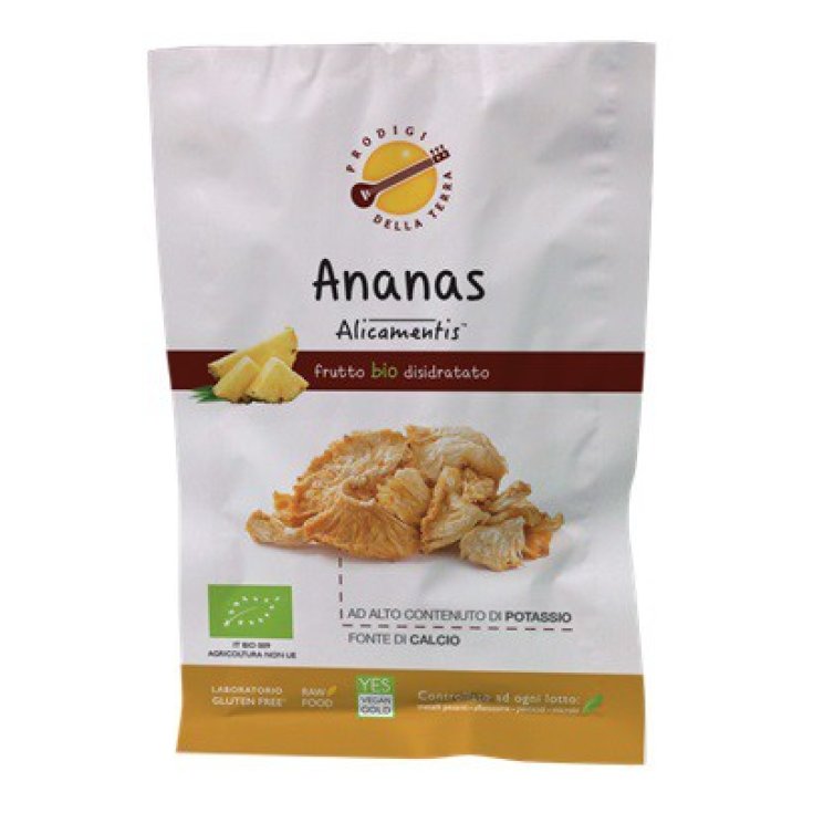 Alicamentis Ananas Frutto Bio Disidratato 25g