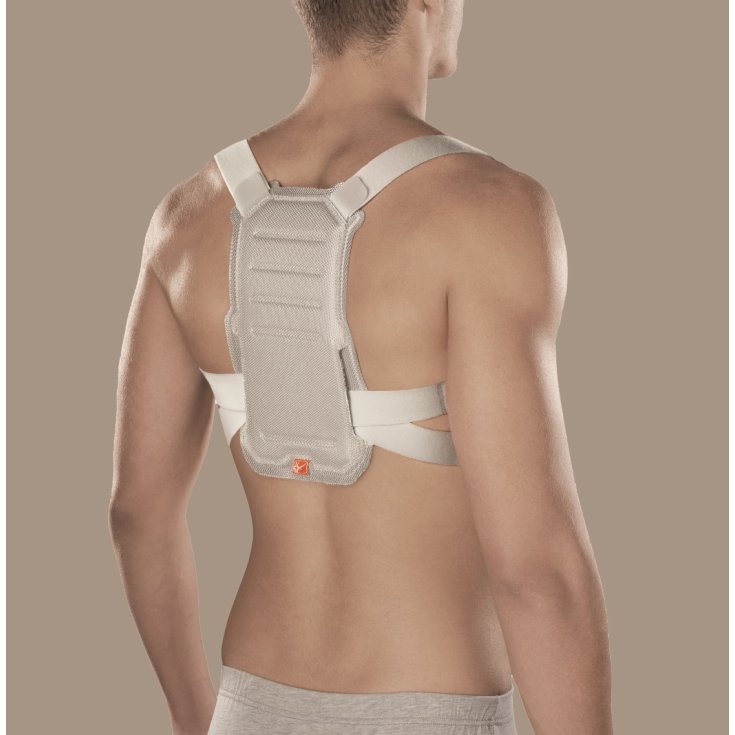 Ro+Ten Dorsolite Corsetto Raddrizzaspalle 1 Pezzo