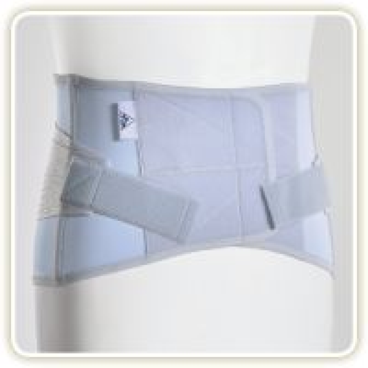 TLM Crossover/26 Corsetto Grigio Taglia L 1 Pezzo