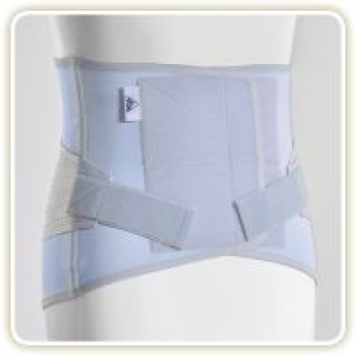 TLM Crossover/34 Corsetto Grigio Taglia XL 1 Pezzo
