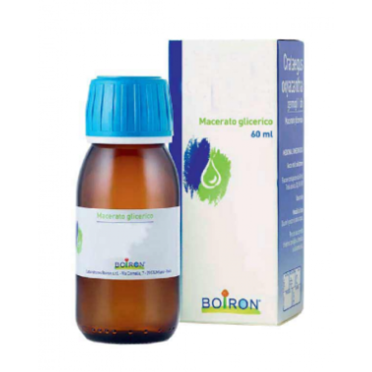 Cemon Crataegus Oxyacantha Getti Macerato Glicerico 30ml