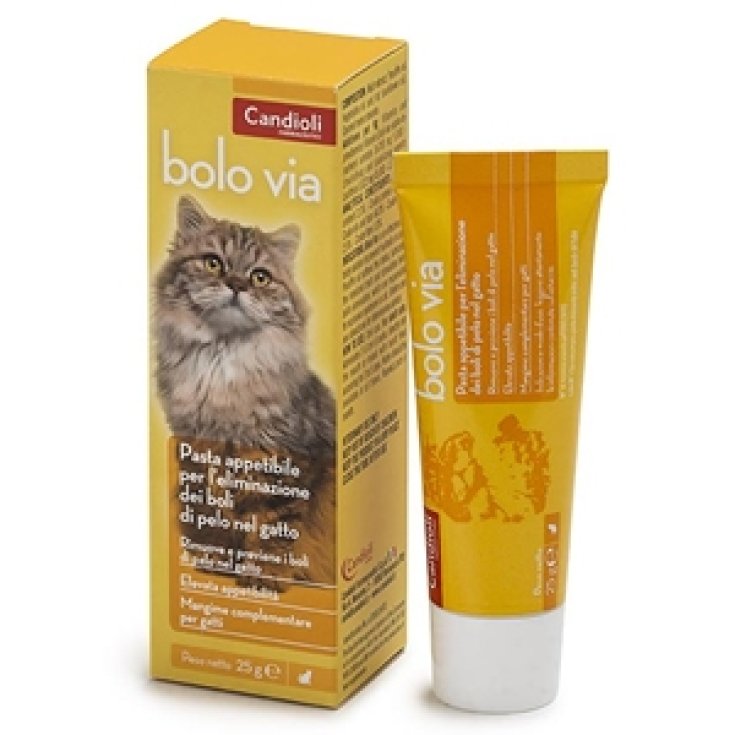 Candioli Bolo Via Pasta Per Gatti 25g