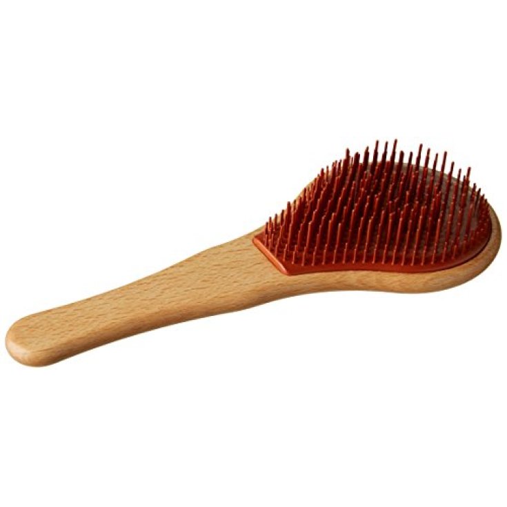 Michel Mercier Spazzola In Legno Per Capelli Normali