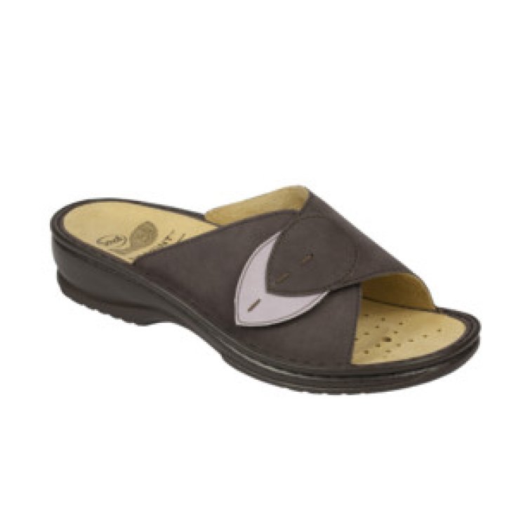 Dr Scholl Dama Removable Ciabatta Donna Colore Plum Misura 36