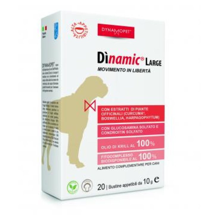 Dinamic Large - da 20 Bustine