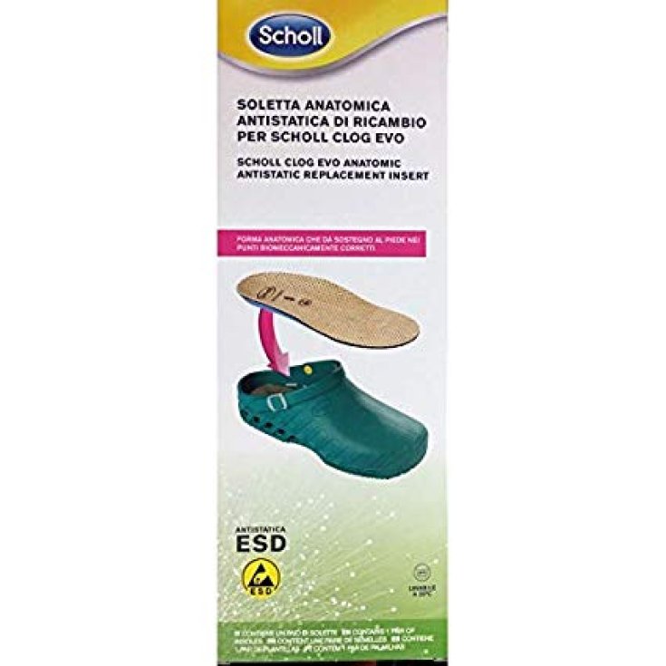 Clog Evo Anat Ant Ins Mic37-38