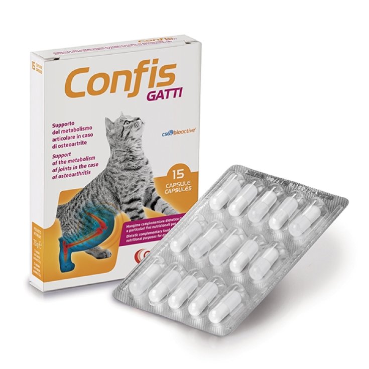 Confis Gatti - 15CP