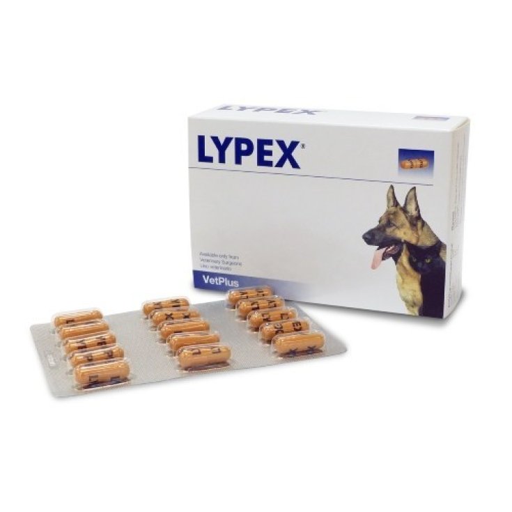 Lypex Capsule - 60CP
