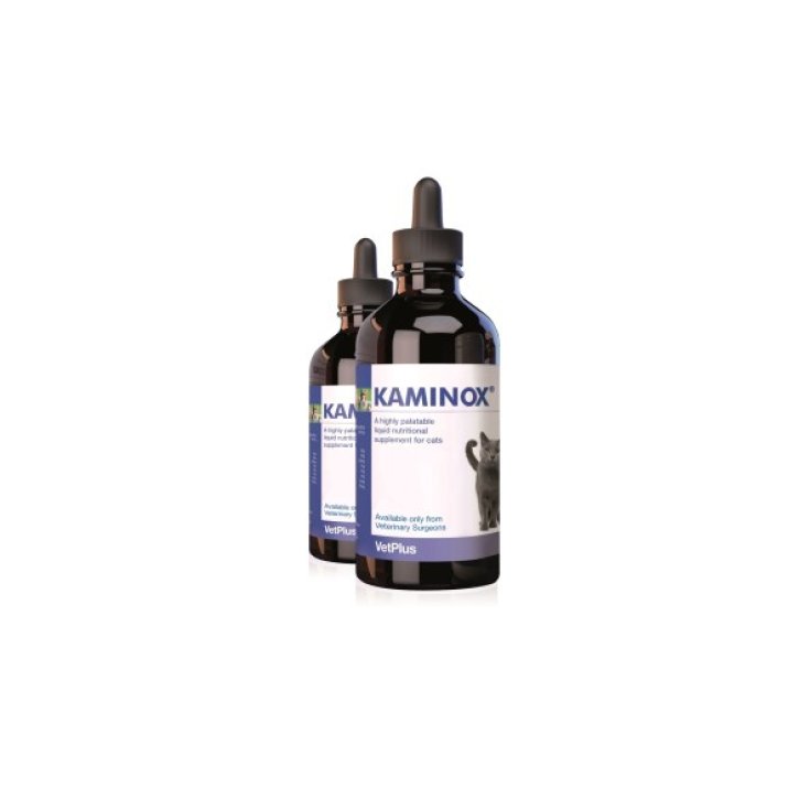 Kaminox Sciroppo - 60ML
