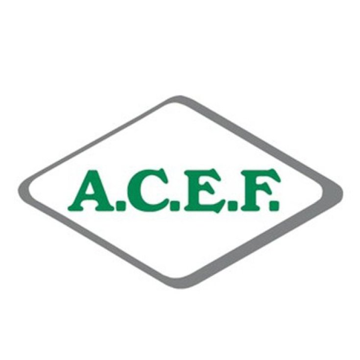 Potassio Ioduro A.C.E.F. 100g