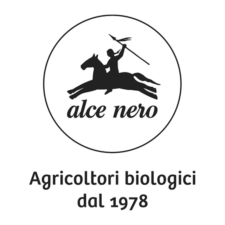 ACETO BALSAMICO MODENA IGP BIO