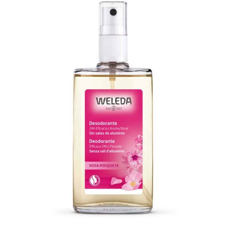 Desodorante Rosa Mosqueta Weleda 100ml