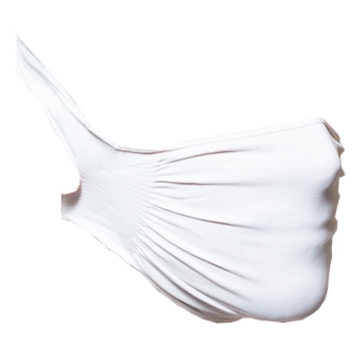 Dr. Walt Fascia Protettiva Lavabile Riutilizzabile 5 Pezzi