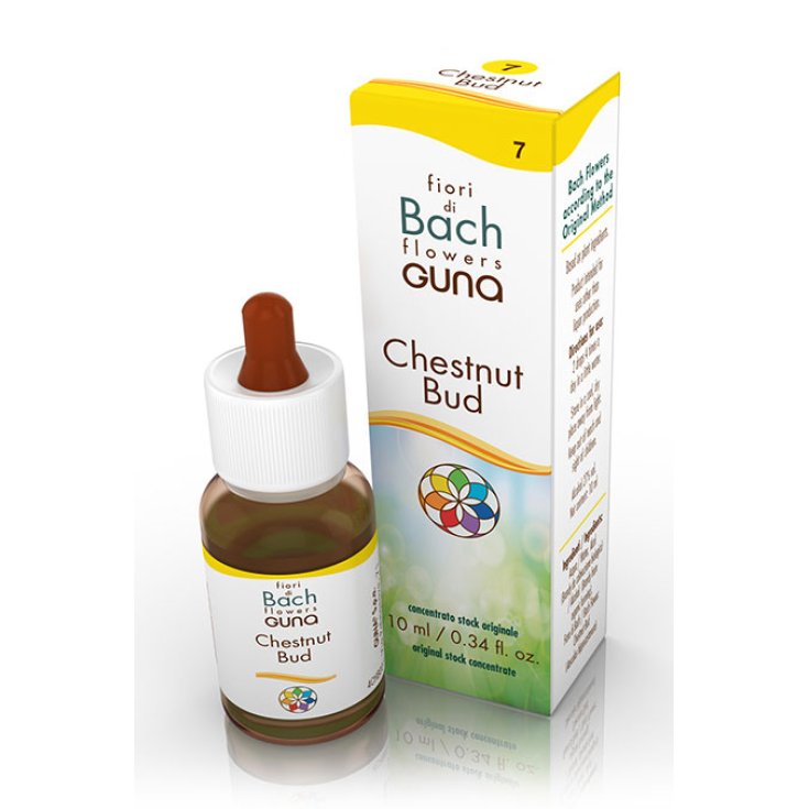 Fiori Di Bach Chestnut Bud Guna Gocce 10ml