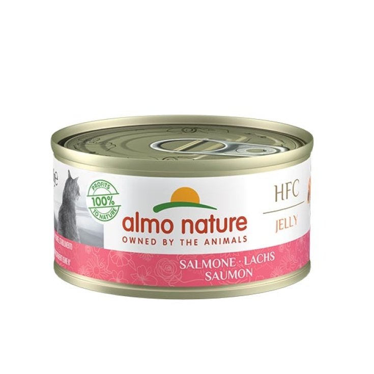 HFC Jelly Salmone - 70GR