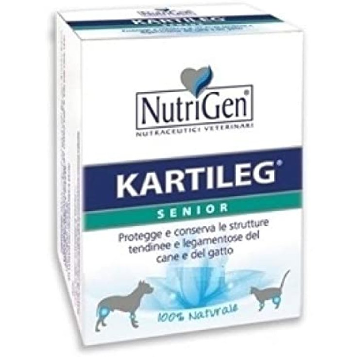 Kartileg Senior - 120X1GR