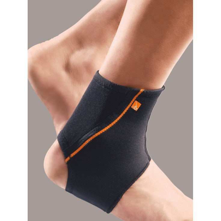 MalleoFIT37 Cavigliera PR4-A1137 Taglia M RO+TEN