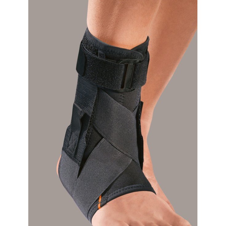 MalleoFIT81 Cavigliera Con Tiranti PR4-A1181 Taglia L RO+TEN
