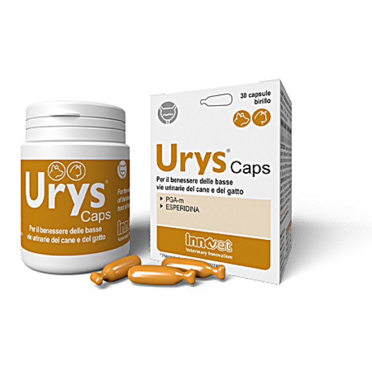 Urys Caps - Capsule