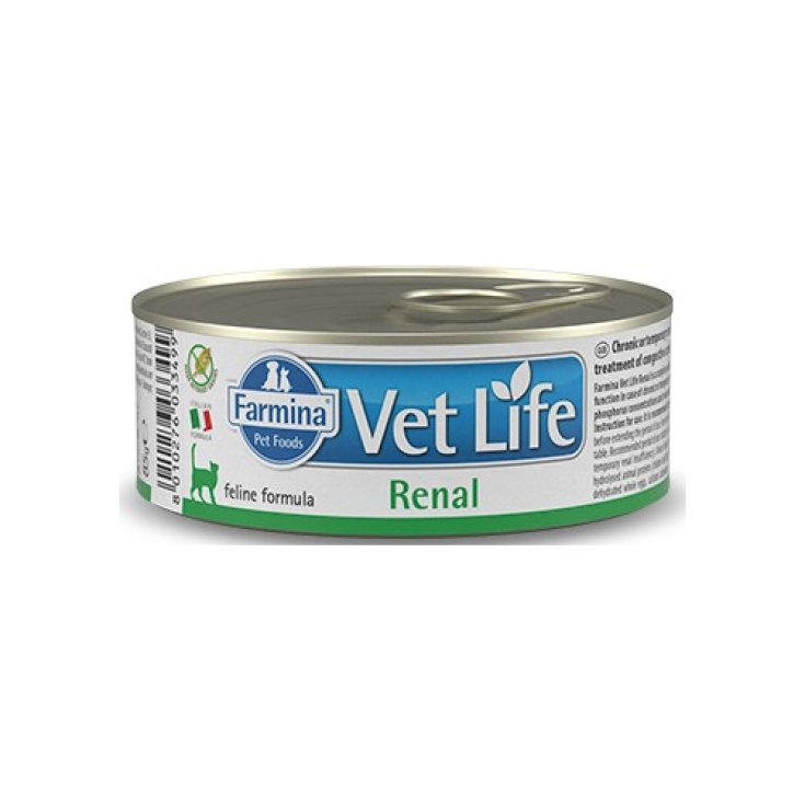 Vet Life Renal - 85GR
