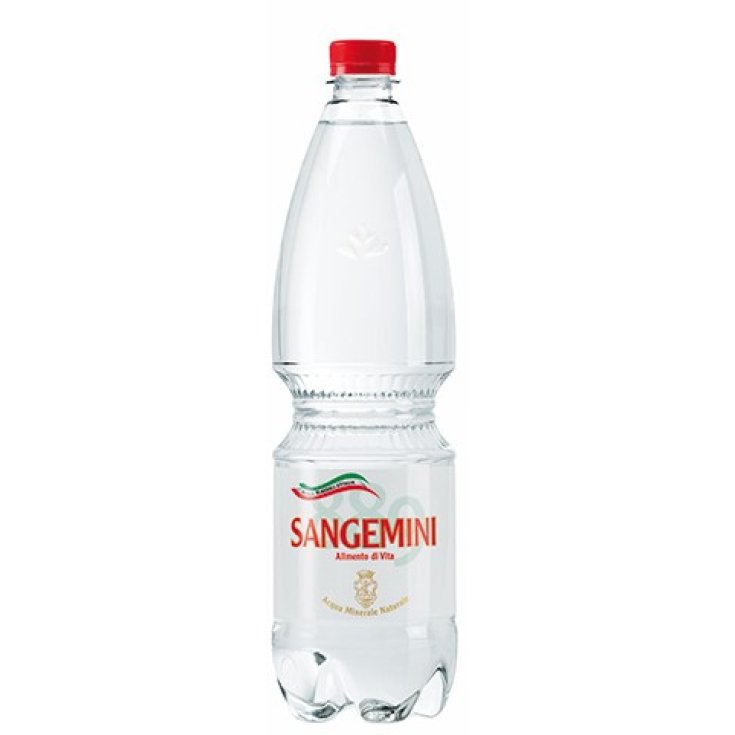 Acqua Minerale Naturale Sangemini 1000ml