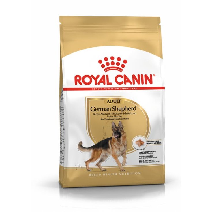 German Shepherd Adult - 11KG