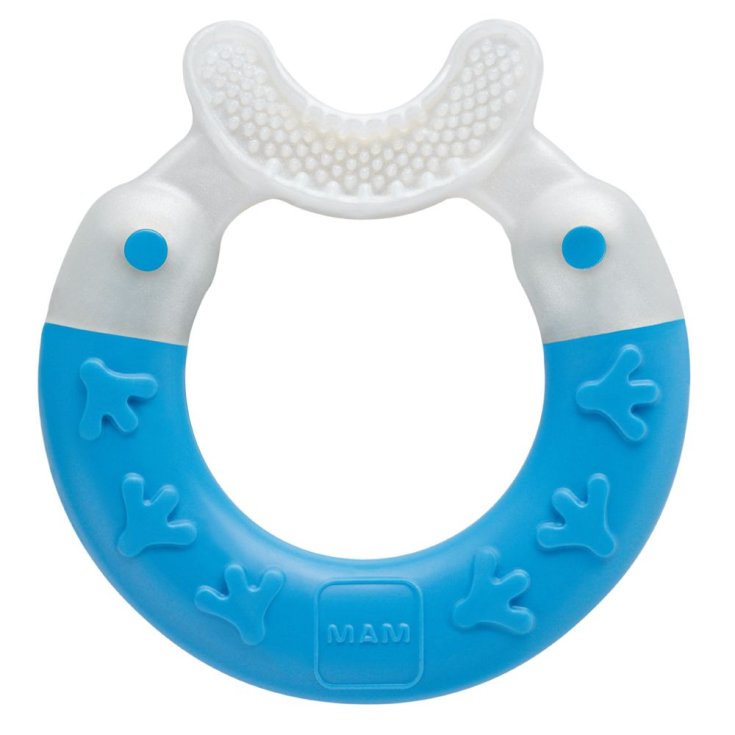 Bite & Brush Mam 1 Pezzo