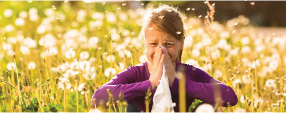 Prepararsi alle allergie primaverili