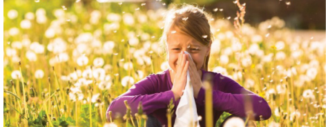 Prepararsi alle allergie primaverili