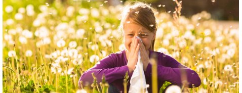 Allergia alle graminacee: quando inizia, quanto dura e i sintomi